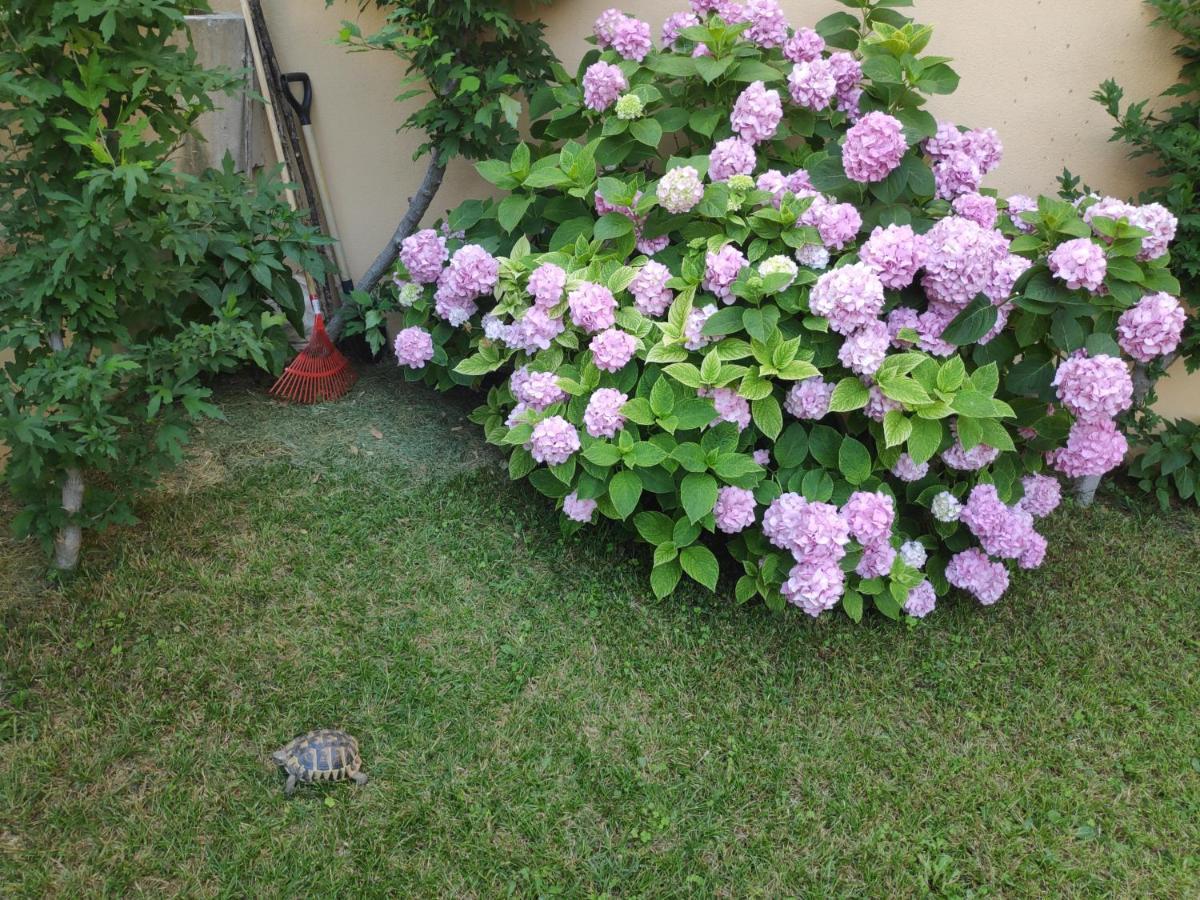 Spacious Apartment With Big Garden Near Beach 스플리트 외부 사진